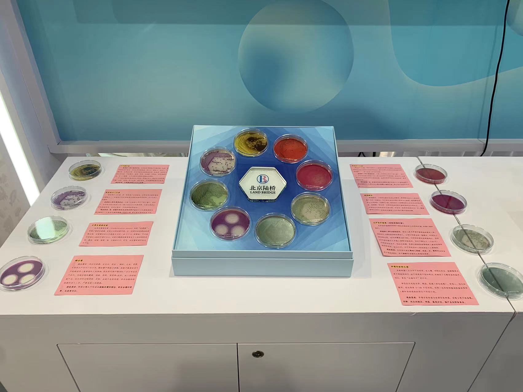 北京陸橋與您相約全國科普日 助力國家科技，守護(hù)“舌尖上的安全”