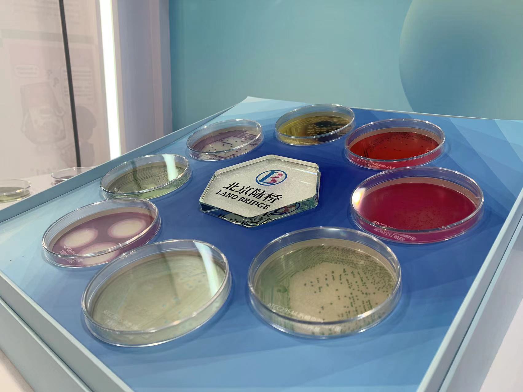 北京陸橋與您相約全國科普日 助力國家科技，守護(hù)“舌尖上的安全”