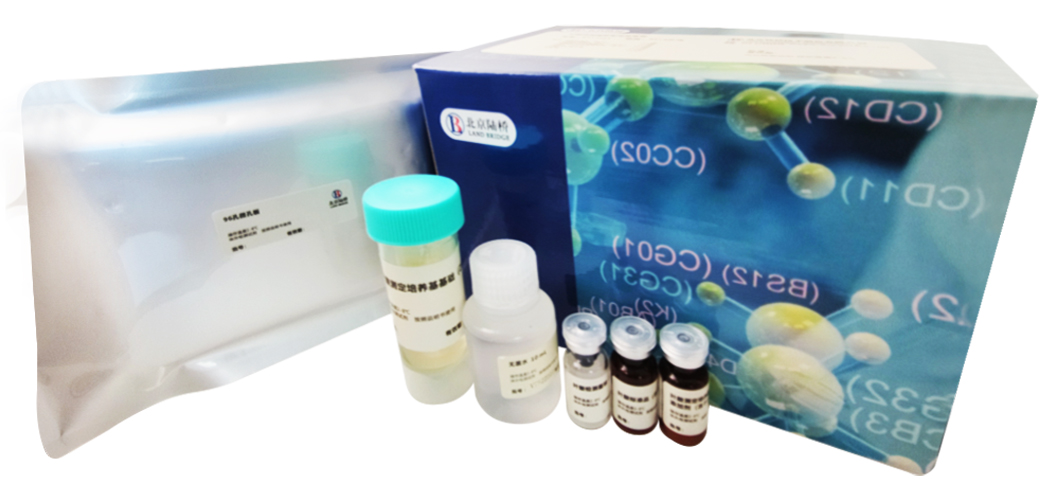 北京陸橋邀請(qǐng)您參加CBIFS第十七屆食品安全技術(shù)論壇(2025年4月·杭州) 北京陸橋邀請(qǐng)您參加CBIFS第十七屆食品安全技術(shù)論壇(2025年4月·杭州)