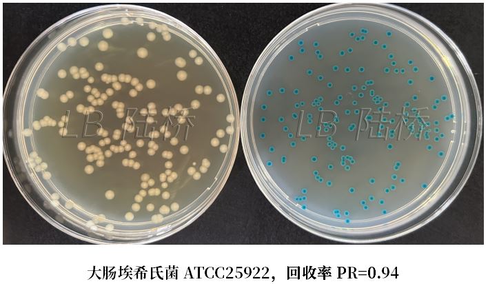 GB 4789.38－2025《食品安全國家標準　食品微生物學檢驗　大腸埃希氏菌計數(shù)》解讀