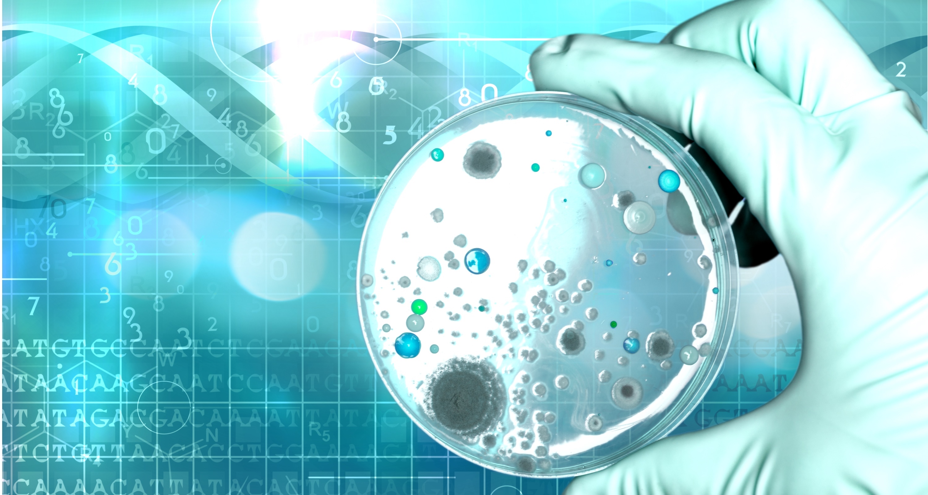 常見菌株保藏法的優(yōu)缺點對比