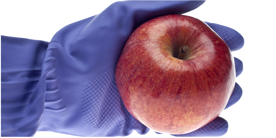 北京陸橋邀您參加2024 食品安全與檢測(cè)技術(shù)創(chuàng)新論壇，共同探討GB4789.28-2024