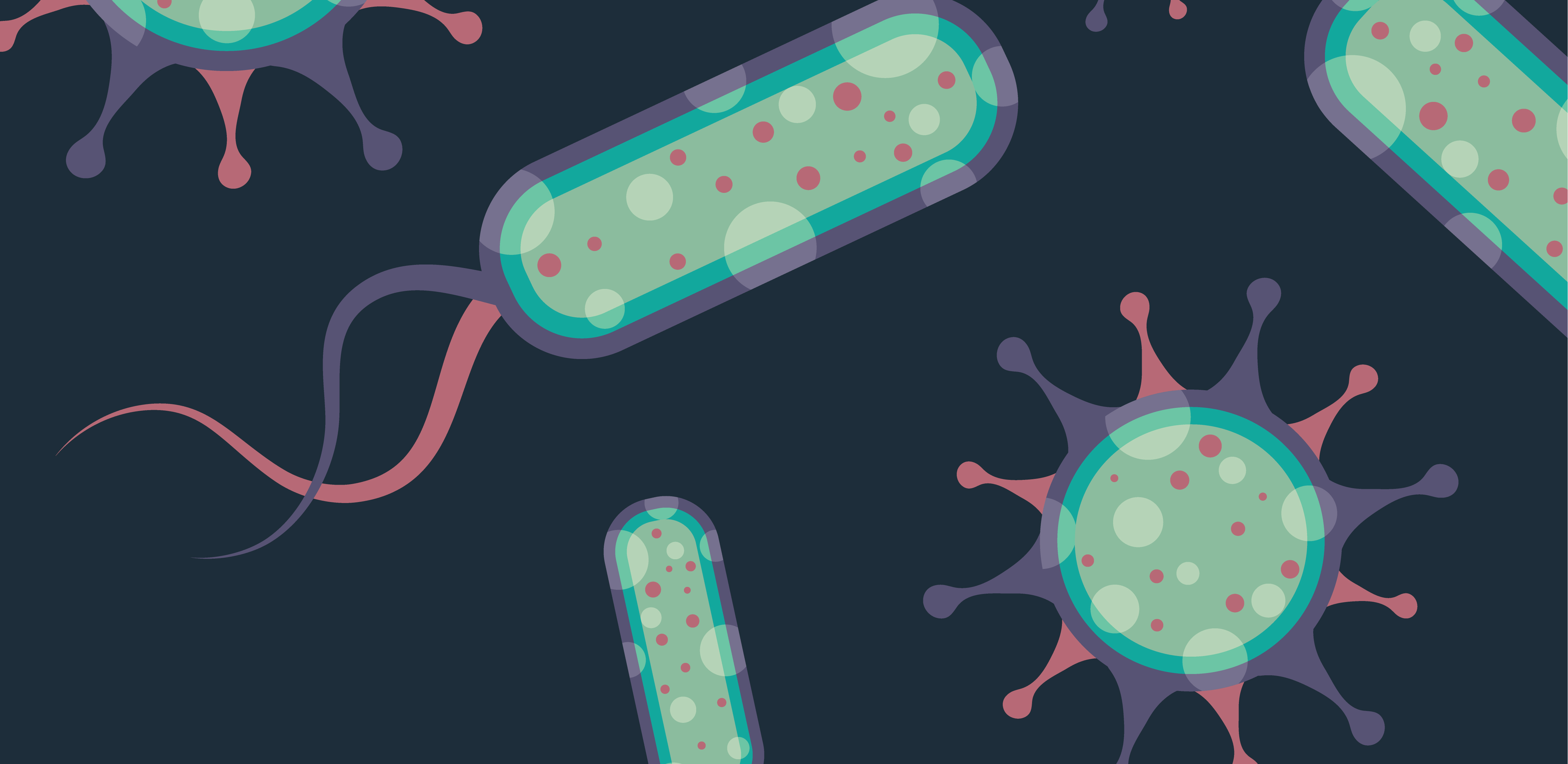 誰是芽胞桿菌中的“運動健將”？